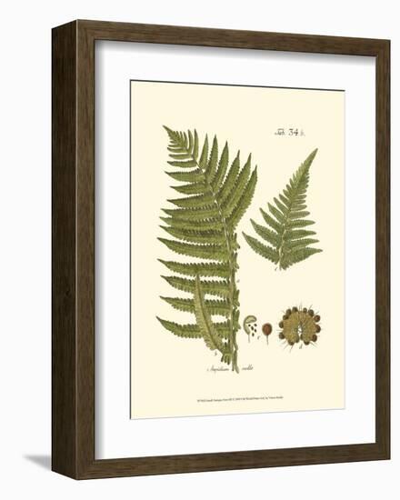 Small Antique Fern III-null-Framed Art Print