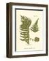 Small Antique Fern III-null-Framed Art Print