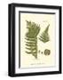 Small Antique Fern III-null-Framed Art Print