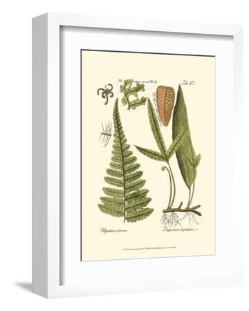 'Small Antique Fern IV' Art | AllPosters.com