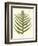 Small Antique Fern VIII-Vision Studio-Framed Art Print