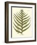 Small Antique Fern VIII-Vision Studio-Framed Art Print