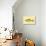 Small Antique Fish II-Vision Studio-Art Print displayed on a wall