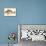 Small Antique Fish III-Vision Studio-Mounted Art Print displayed on a wall