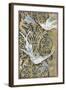 Small Batik Garden II-Jennifer Goldberger-Framed Art Print