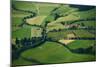 Small Bavarian Village in a Fields, Germany. Pseudo Tilt Shift Effect-Dudarev Mikhail-Mounted Photographic Print