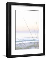 Small Beach Grass-null-Framed Photographic Print