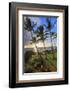 Small beach in Makena area, Maui, Hawaii, USA-Stuart Westmorland-Framed Photographic Print