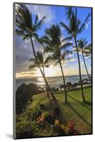 Small beach in Makena area, Maui, Hawaii, USA-Stuart Westmorland-Mounted Photographic Print