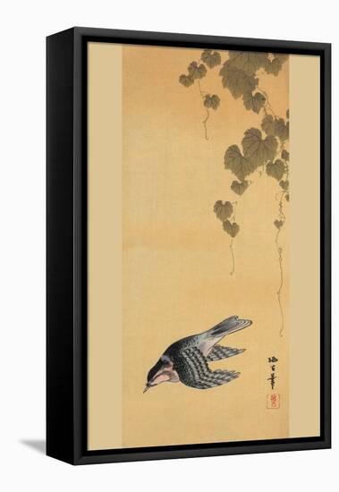 Small Bird and Grapes-null-Framed Stretched Canvas