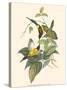 Small Bird of the Tropics IV-John Gould-Stretched Canvas