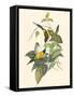 Small Bird of the Tropics IV-John Gould-Framed Stretched Canvas