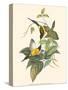 Small Bird of the Tropics IV-John Gould-Stretched Canvas