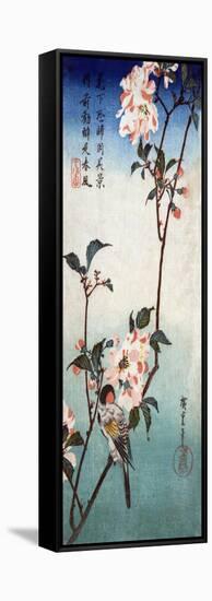 Small Bird on a Branch of Kaidozakura, Japanese Wood-Cut Print-Lantern Press-Framed Stretched Canvas