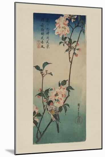 Small Bird on a Branch of Kaidozakura (Kaido Ni Shokin)-Ando Hiroshige-Mounted Art Print