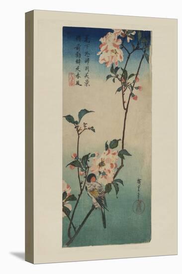 Small Bird on a Branch of Kaidozakura (Kaido Ni Shokin)-Ando Hiroshige-Stretched Canvas