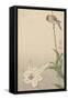 Small Bird on Lily Plant.-Baison-Framed Stretched Canvas