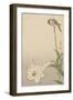 Small Bird on Lily Plant.-Baison-Framed Art Print