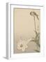 Small Bird on Lily Plant.-Baison-Framed Art Print