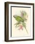 Small Birds of Tropics II-John Gould-Framed Art Print