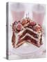 Small Black Forest Gateau, Slices Taken-null-Stretched Canvas