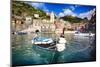 Small Boat in Vernazza Harbor, Cinque Terre, Italy-George Oze-Mounted Premium Photographic Print