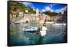 Small Boat in Vernazza Harbor, Cinque Terre, Italy-George Oze-Framed Stretched Canvas