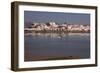 Small Boats in Harbor-Vittoriano Rastelli-Framed Photographic Print