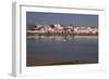 Small Boats in Harbor-Vittoriano Rastelli-Framed Photographic Print