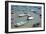 Small Boats in the Sea in Spain-Felipe Rodriguez-Framed Photographic Print