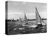 Small Boats Sailing on Sydney Harbor-Bettmann-Stretched Canvas