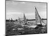 Small Boats Sailing on Sydney Harbor-Bettmann-Mounted Photographic Print