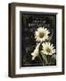 Small Botanical Collection I-Abby White-Framed Art Print