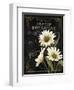 Small Botanical Collection I-Abby White-Framed Art Print