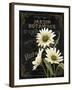 Small Botanical Collection I-Abby White-Framed Art Print