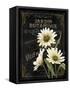 Small Botanical Collection I-Abby White-Framed Stretched Canvas