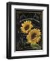 Small Botanical Collection II-Abby White-Framed Art Print