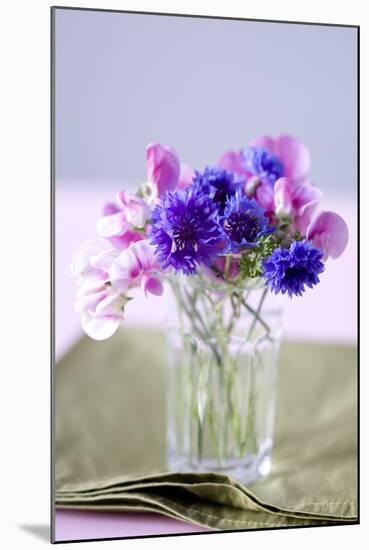 Small Bouquet with Cornflowers and Vetch on Green Silk-Brigitte Protzel-Mounted Photographic Print