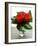 Small Bouquet with Three Red Roses-Michael Paul-Framed Photographic Print