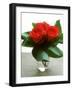 Small Bouquet with Three Red Roses-Michael Paul-Framed Photographic Print