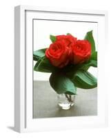 Small Bouquet with Three Red Roses-Michael Paul-Framed Photographic Print