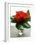 Small Bouquet with Three Red Roses-Michael Paul-Framed Photographic Print