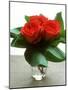 Small Bouquet with Three Red Roses-Michael Paul-Mounted Photographic Print