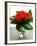 Small Bouquet with Three Red Roses-Michael Paul-Framed Photographic Print