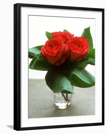 Small Bouquet with Three Red Roses-Michael Paul-Framed Photographic Print