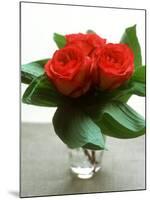 Small Bouquet with Three Red Roses-Michael Paul-Mounted Photographic Print