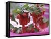 Small Bouquets of Raspberries and Redcurrants-Friedrich Strauss-Framed Stretched Canvas