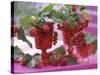 Small Bouquets of Raspberries and Redcurrants-Friedrich Strauss-Stretched Canvas