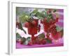 Small Bouquets of Raspberries and Redcurrants-Friedrich Strauss-Framed Photographic Print