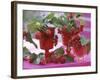 Small Bouquets of Raspberries and Redcurrants-Friedrich Strauss-Framed Photographic Print